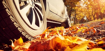 Rij veilig in de herfst: de 6 beste tips