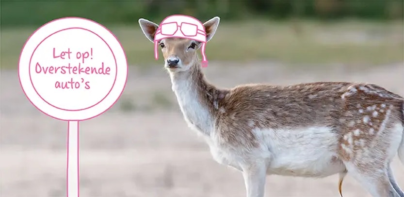 Overstekend wild: ben je verplicht om te remmen?