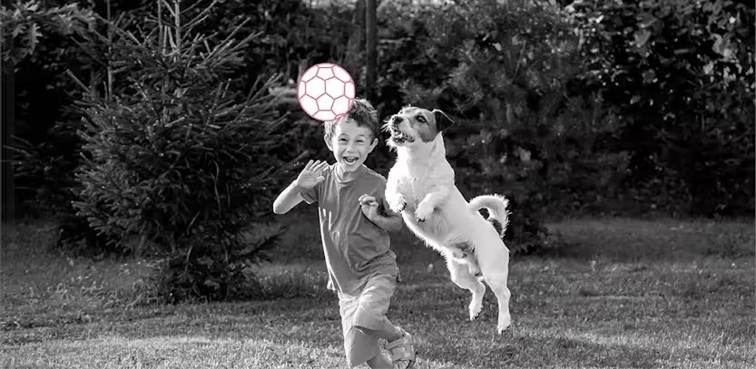 Helpen bij veranderingen huisdier