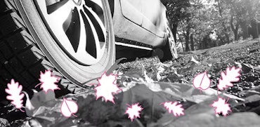 Rij veilig in de herfst: de 6 beste tips