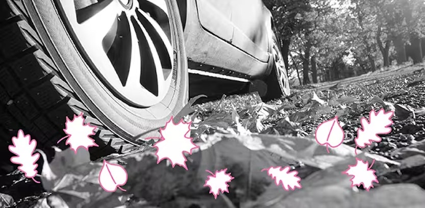 Rij veilig in de herfst: de 6 beste tips