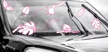 Wat (bijna) niemand weet over ruitenwissers