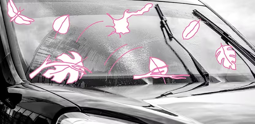 Wat (bijna) niemand weet over ruitenwissers